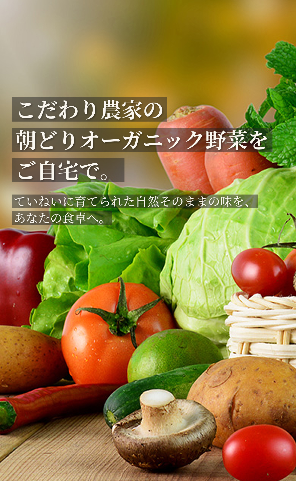 こだわり農家の朝どりオーガニック野菜をご自宅で。